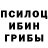 Псилоцибиновые грибы ЛСД Barada Barada