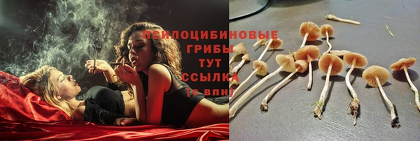 ГАЛЛЮЦИНОГЕННЫЕ ГРИБЫ Армянск