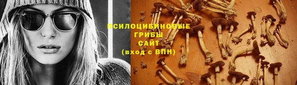 круглые Аркадак